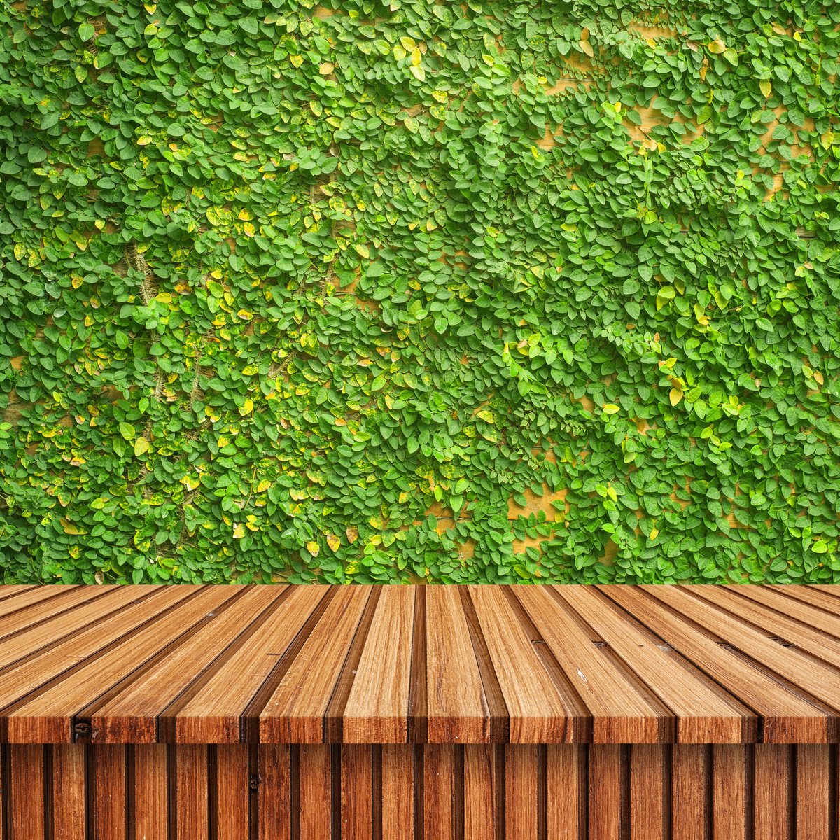 Wood Slat Table against Wall with Vines 